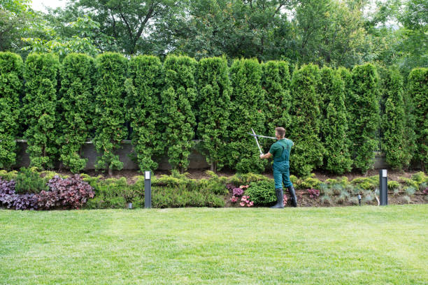 Lawn Pest Prevention in Wyanet, IL